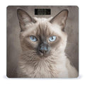 Beautiful Siamese Cat Bathroom Scale for Body Weight LCD Display Digital Bathroom Scale Tempered Glass Bathroom Weight Scales Fashion Smart Scales for Home Bedroom 400 Lb