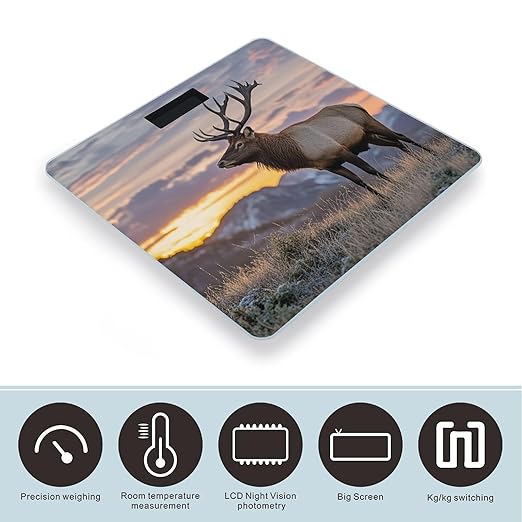 Red Deer Bull Elk Sunset Scale for Body Weight Accurate Digital Bathroom Scale Toughened Glass High Precision Scales Smart Weight Scales with Large LCD Backlight Display Weighing Machine