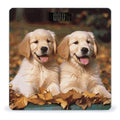 Golden Retriever Dogs Puppies Pets Scale for Body Weight Sturdy Tempered Glass Weighing Scales with LCD Display Accurate Digital Bathroom Scale Convenient Body Fat Smart Scales 400lb