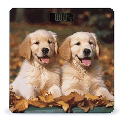 Golden Retriever Dogs Puppies Pets Scale for Body Weight Sturdy Tempered Glass Weighing Scales with LCD Display Accurate Digital Bathroom Scale Convenient Body Fat Smart Scales 400lb