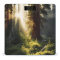 Morning Sunlight in Wilderness Bathroom Scale for Body Weight Bathroom Weighing Scale with Backlit LCD Display Highly Accurate Measures Weight Up to 180kg