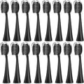 Replacement Toothbrush HeadsCompatible for Seago S9 S1 S6 S8 S21 S26 S28 SG540 SG860 SG861 SG986 SG987 SG988 2752(16pcs Black)