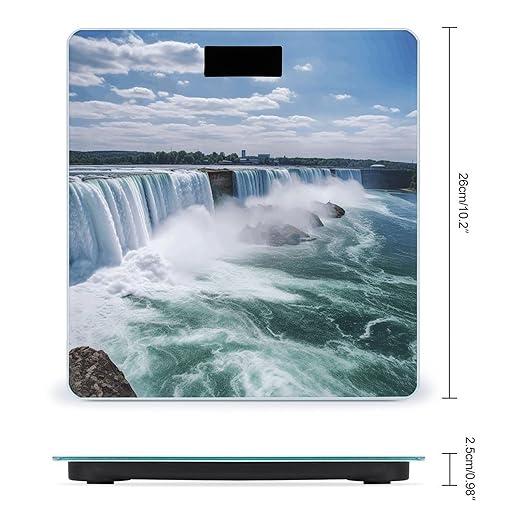 Niagara Falls Bathroom Scale Rounded Smart Scale for Body Weight Automatic Power On/Off Weight Scales Accurate Bathroom Digital Scales for Pet Home Bedroom Kitchen