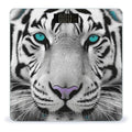 Tiger with Teal Eyes Bathroom Scale for Body Weight Bathroom Weighing Scale with Backlit LCD Display Highly Accurate Measures Weight Up to 180kg