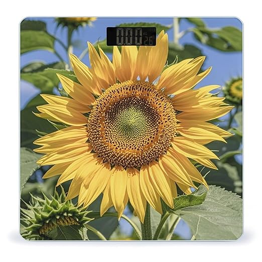 Sunflower Bathroom Scale for Body Weight Bathroom Weighing Scales with Back Lit LED Display Sturdy Tempered Glass Body Weight Bathroom Scale 400lb Weighing