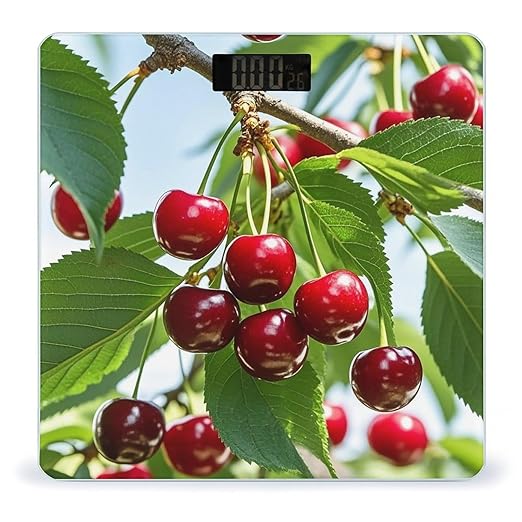 Cute Cherry Bathroom Scale for Body Weight Bathroom Weighing Scales with Back Lit LED Display Sturdy Tempered Glass Body Weight Bathroom Scale 400lb Weighing