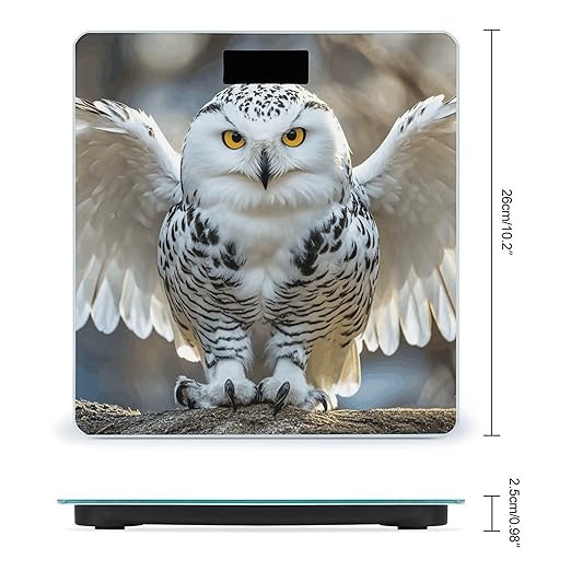Snow Owl Scale for Body Weight Sturdy Tempered Glass Weighing Scales with LCD Display Accurate Digital Bathroom Scale Convenient Body Fat Smart Scales Easy Read