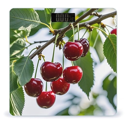 Red Cherry Pattern Bathroom Scale for Body Weight with High Precision Large LCD Backlight Display Digital Weighing Scale with BMI Capacity Up to 180kg