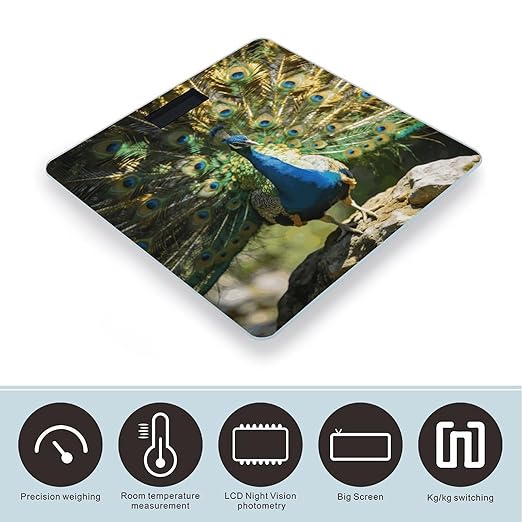 Beautiful Peacock with Colorful Feathers Weight ScaleClear LED Display Bathroom Digital Weighing ScaleTempered Glass Digital Bathroom Scale for Body Weight Capacity Up to 400 Lbs
