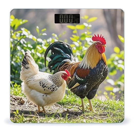 Rooster and Hen Scale for Body Weight Accurate Digital Bathroom Scale Toughened Glass High Precision Scales Smart Weight Scales with Large LCD Backlight Display Weighing Machine