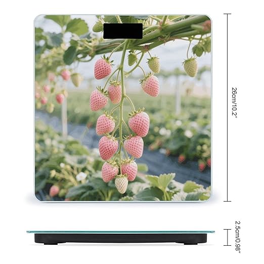 Pink Strawberry Weight Scale Cute Bathroom Scale for Body Highly Accurate Digital Weighing Machine for People Compact LCD Display Scales with Sturdy Toughened Glass Scales