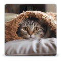 Cat Under Blanket Scale for Body Weight Safe Rounded Corners Tempered Glass Digital Bathroom Scale LED Display 400lb Capacity Weight Scales with High Precision Sensors
