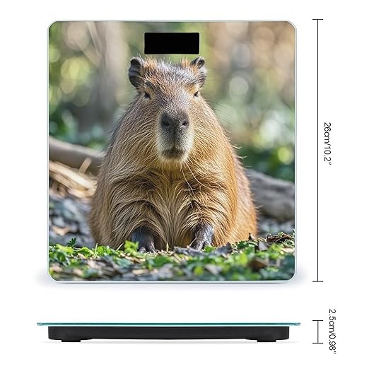 Digital Bathroom Scale for Body Weight Scale with Bright LCD Display High Accuracy Step-On Technology Auto On/Off Capybara with Eyes Closed Digital Scales 400 Lbs /180kg