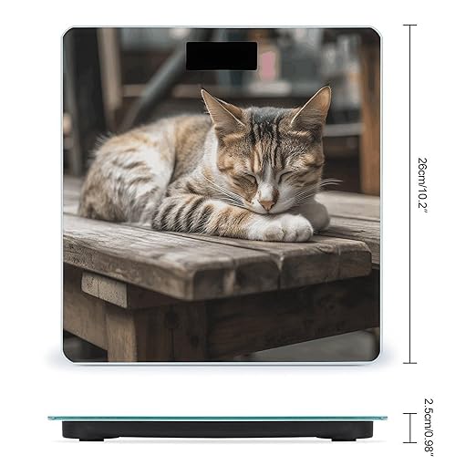 Cat Sleeping Digital Bathroom Scale for Body Weight Weighing Scale with Backlit LCD Display High Precision Measurements &amp Measures Weight Up to 180kg