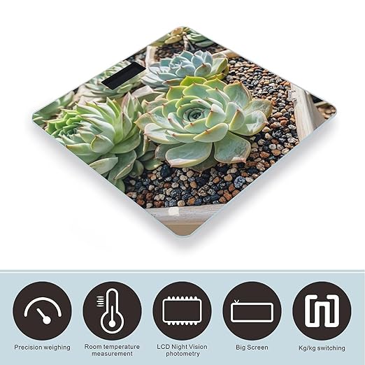 Smiling SucculentsSmiling Succulents Scale for Body Weight Digital Bathroom Scale Accurate Smart Weight Scales with Large Display Weighing Machine High Precision Scales