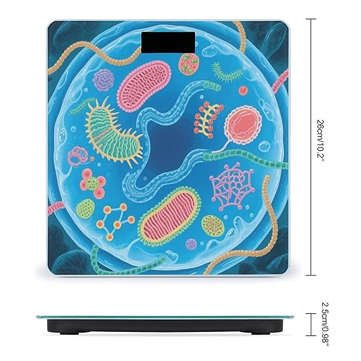 Biological Cell Structure Scale for Body Weight Sturdy Tempered Glass Weighing Scales with LCD Display Accurate Digital Bathroom Scale Convenient Body Fat Smart Scales Easy Read