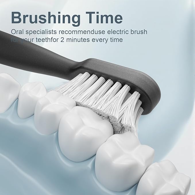 Sonic Electric Toothbrush for Adults with Drying Storage Holder 8 Brush Heads Smart Timer USB Rechargeable Deep Clean Power – Classic Black Edition
