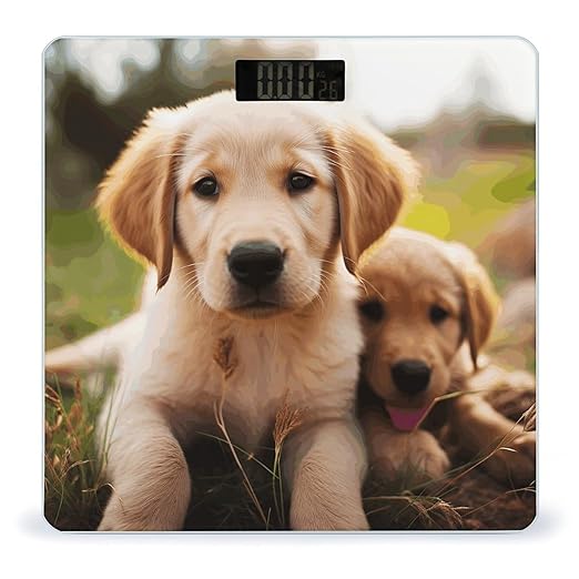 Cute Golden Retriever Puppy Bathroom Scale for Body Weight Bathroom Digital Electronic Weighing Scale with Back Lit LED Display Sturdy Tempered Glass Weight Watchers Scales 400lb