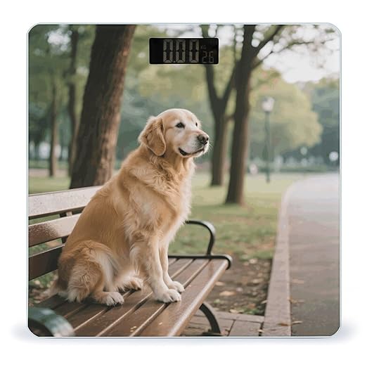 Dog Resting on Bench Weight Scale Cute Bathroom Scale for Body Highly Accurate Digital Weighing Machine for People Compact LCD Display Scales with Sturdy Toughened Glass Scales