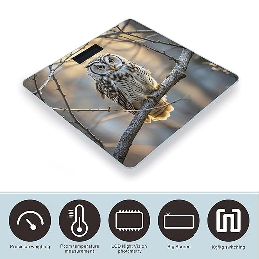 Owl on A Branch Bathroom Scale for Body Weight Bathroom Weighing Scales with Back Lit LED Display Sturdy Tempered Glass Body Weight Bathroom Scale 400lb Weighing