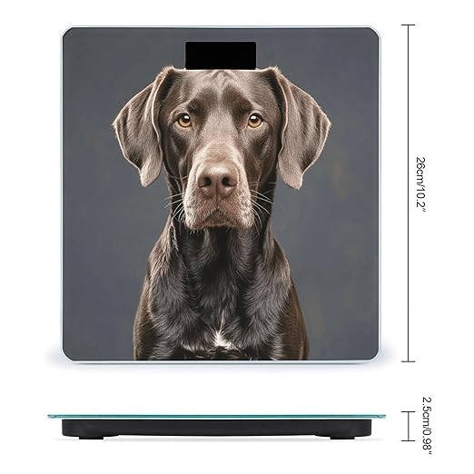 Dalmatian Scale for Body Weight Digital Bathroom Scale Toughened Glass High Precision Scales for Body Weight with Large LCD Backlight Display Weight Scales