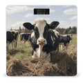 Cute Cows Digital Bathroom Scale for Body Weight Weighing Scale with Backlit LCD Display High Precision Measurements &amp Measures Weight Up to 180kg