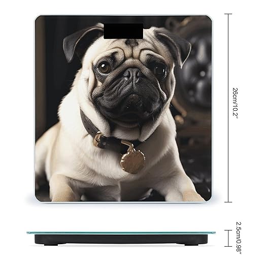 Digital Bathroom Scale for Body Weight Scale with Bright LCD Display High Accuracy Step-On Technology Auto On/Off Cool Pug Dog Digital Scales 400 Lbs /180kg