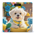 Cute Maltese Puppy Scale for Body Weight Accurate Digital Bathroom Scale Toughened Glass High Precision Scales Smart Weight Scales with Large LCD Backlight Display Weighing Machine