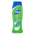 Dial Body Wash Mountain Fresh 16 Fl Oz (Pack of 6)