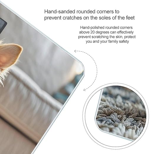 Cute Chihuahua Scale for Body Weight Accurate Digital Bathroom Scale Toughened Glass High Precision Scales Smart Weight Scales with Large LCD Backlight Display Weighing Machine