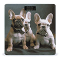 Digital Bathroom Scale for Body Weight Scale with Bright LCD Display High Accuracy Step-On Technology Auto On/Off French Bulldog Puppies Digital Scales 400 Lbs /180kg