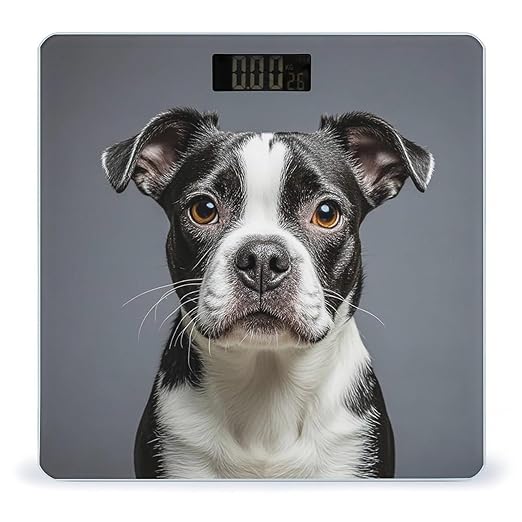Boston Terrier Scale for Body Weight Digital Bathroom Scale Toughened Glass High Precision Scales for Body Weight with Large LCD Backlight Display Weight Scales