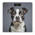 Boston Terrier Scale for Body Weight Digital Bathroom Scale Toughened Glass High Precision Scales for Body Weight with Large LCD Backlight Display Weight Scales