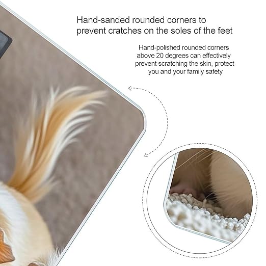 Guinea Pigs Bathroom Scale Digital Weight Scale Precision 400 Lbs Weighing Scales Large with LCD Backlight Display BMI Measures