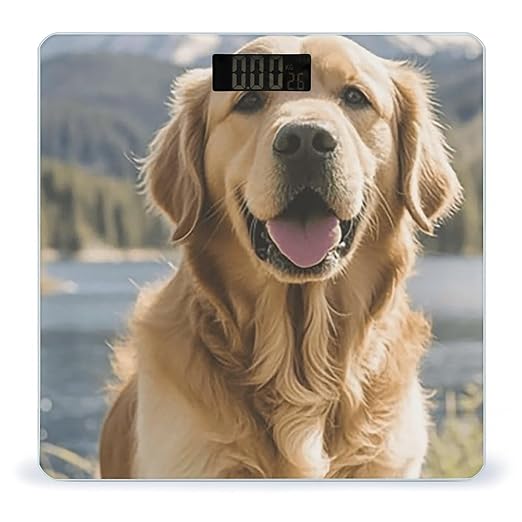 Digital Bathroom Scale for Body Weight Scale with Bright LCD Display High Accuracy Step-On Technology Auto On/Off Golden Retrievers Digital Scales 400 Lbs /180kg