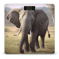 Big Ears Elephant Scale for Body Weight Anti-Slip Tempered Glass Digital Bathroom Scales Clear LCD Display Weighing Scale Safe Rounded Corners Smart Scales