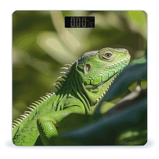 Green Lizard Weight ScaleClear LED Display Bathroom Digital Weighing ScaleTempered Glass Digital Bathroom Scale for Body Weight Capacity Up to 400 Lbs
