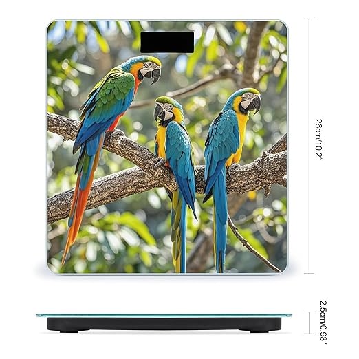 Colorful Parrots On Tree Scale for Body Weight Accurate Digital Bathroom Scale Toughened Glass High Precision Scales Smart Weight Scales with Large LCD Backlight Display Weighing Machine