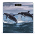 Jumping Whales Scale for Body Weight Digital Bathroom Scale Accurate Smart Weight Scales with Large Display Weighing Machine High Precision Scales