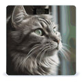 Gray Cat with Green Eyes Scale for Body Weight Sturdy Tempered Glass Weighing Scales with LCD Display Accurate Digital Bathroom Scale Convenient Body Fat Smart Scales 400lb