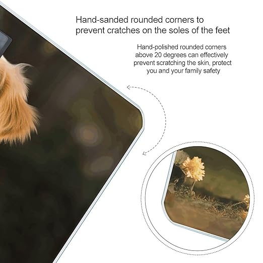 Golden Retriever Dog Scale for Body Weight Highly Accurate Digital Bathroom Scale Sturdy Tempered Glass Weighing Scales with LCD Display Fashion Body Fat Smart Scales 400lb