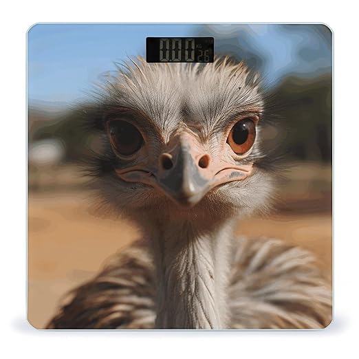 Cute Ostrich Weight Scale Large Bathroom Scales Digital Weight with Bright LED Display Non Slip Automatic Weighing Scale Fashion Weighing Machine for Body