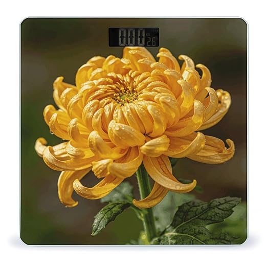 Golden Chrysanthemum Smart Scale for Body Weight Digital Bathroom Scale Toughened Glass Weight Scale with Large LCD Backlight Display High Precision Scales Weighing Machine