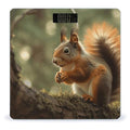 Wildlife Forest Squirrel Smart Scale for Body Weight Accurate Bathroom Scale with LED Display Digital Weight Scales Weighing Machine High Precision Scales for Bath Home