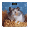 Digital Bathroom Scale for Body Weight Scale with Bright LCD Display High Accuracy Step-On Technology Auto On/Off Hamster Digital Scales 400 Lbs /180kg
