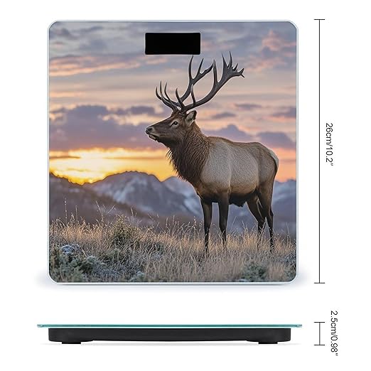Red Deer Bull Elk Sunset Scale for Body Weight Accurate Digital Bathroom Scale Toughened Glass High Precision Scales Smart Weight Scales with Large LCD Backlight Display Weighing Machine