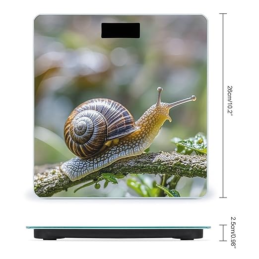 A Photo of A Snail Scale for Body Weight Sturdy Tempered Glass Weighing Scales with LCD Display Accurate Digital Bathroom Scale Convenient Body Fat Smart Scales Easy Read