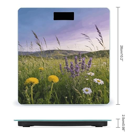 Meadow Smart Scale for Body Weight Digital Bathroom Scale Toughened Glass Weight Scale with Large LCD Backlight Display High Precision Scales Weighing Machine