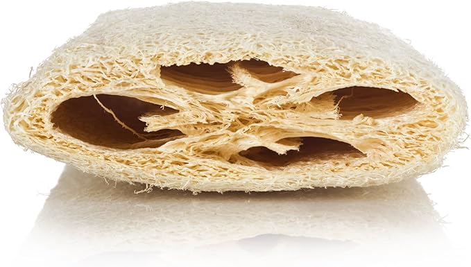 1.7 oz Single Foamer Pump Shower Gel Bottle with 12 Pack Natural Loofah Body Scrub (5 inches)