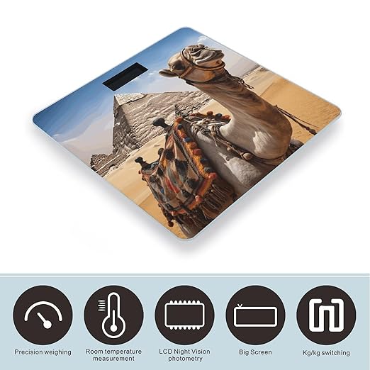 Pyramid CamelScale for Body Weight with LCD High Precision Weighing Scales Fashion Sturdy Tempered Glass Weight Scales Easy-to-Read Digital Bathroom Scale for Daily 400lb
